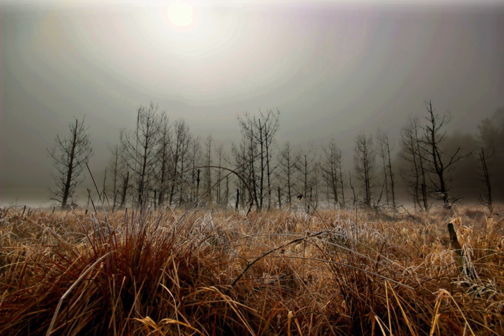 Fot. Andrzej Stoiński